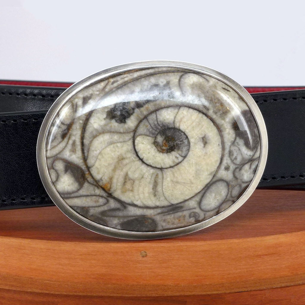 Ammonite Belt