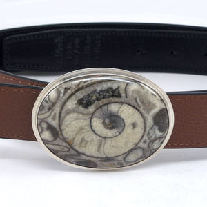 Ammonite Belt