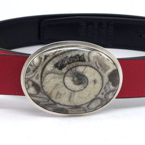 Ammonite Belt